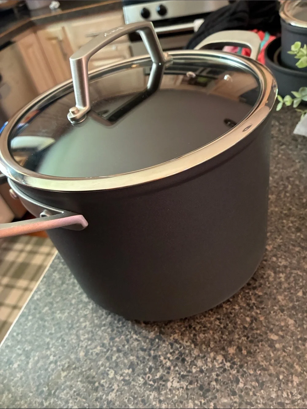 Ninja Foodi NeverStick Hard-Anodized Stockpot with Glass Lid 6.5 Qt